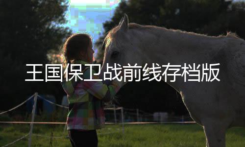 王国保卫战前线存档版