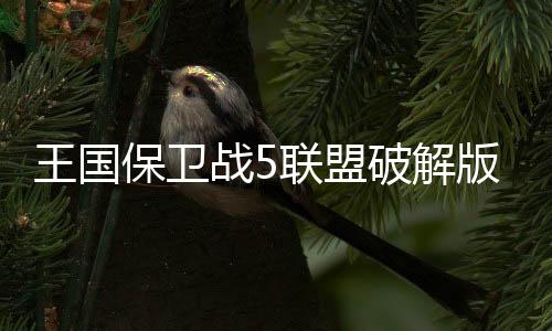 王国保卫战5联盟破解版