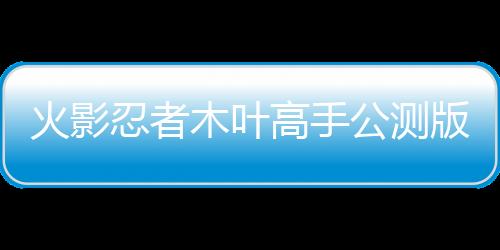 火影忍者木叶高手公测版