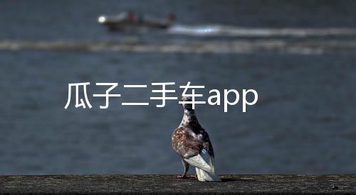 瓜子二手车app