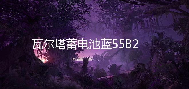 瓦尔塔蓄电池蓝55B24R适配威志威姿森雅熊猫奇瑞Q3汽车电瓶 蓝标