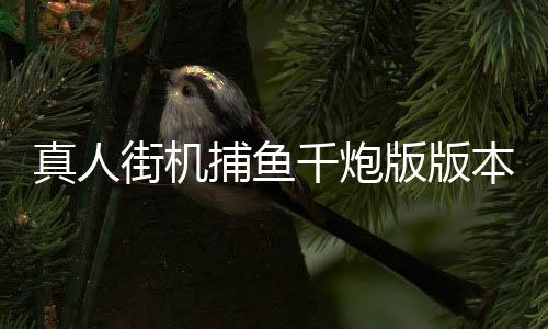 真人街机捕鱼千炮版版本大全