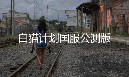 白猫计划国服公测版