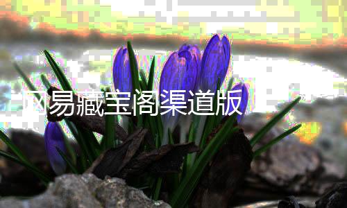 网易藏宝阁渠道版 2.3.4