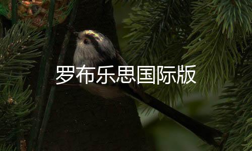 罗布乐思国际版