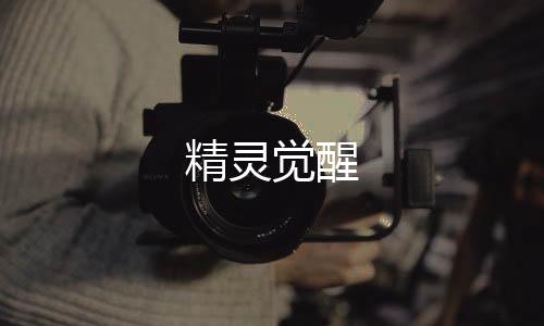 精灵觉醒