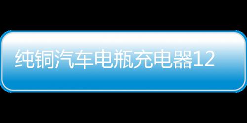 纯铜汽车电瓶充电器12V24V伏大功率充电机小车智能通用脉冲修复型