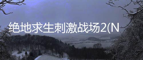 绝地求生刺激战场2(NEW STATE Mobile)