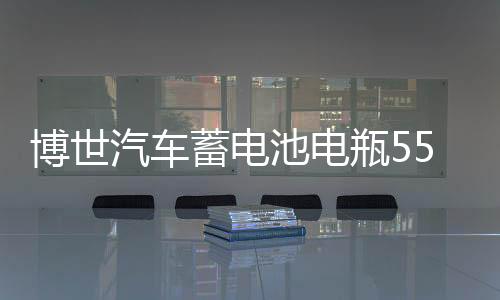 博世汽车蓄电池电瓶55B24RS适用雅阁奥德赛思铂睿思域crv逍客骐达