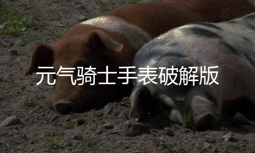 元气骑士手表破解版