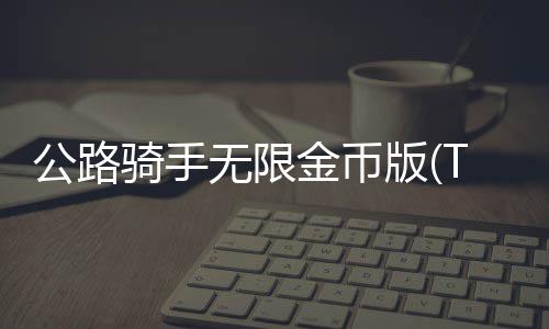 公路骑手无限金币版(Traffic Rider)