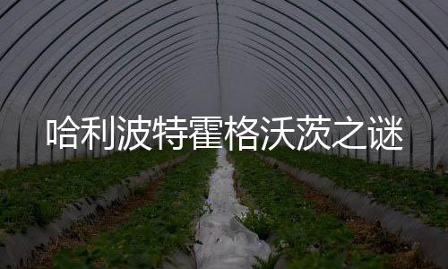 哈利波特霍格沃茨之谜