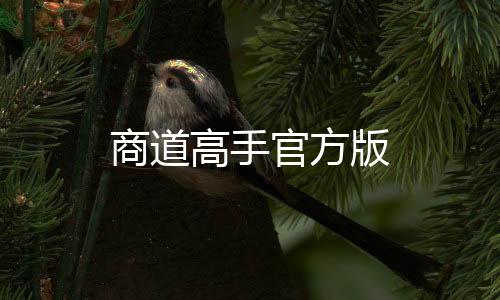 商道高手官方版