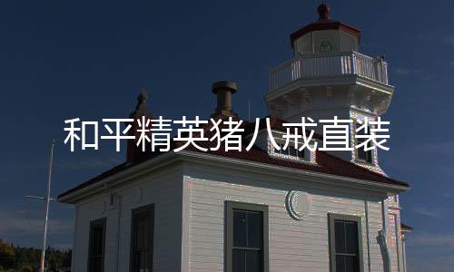 和平精英猪八戒直装