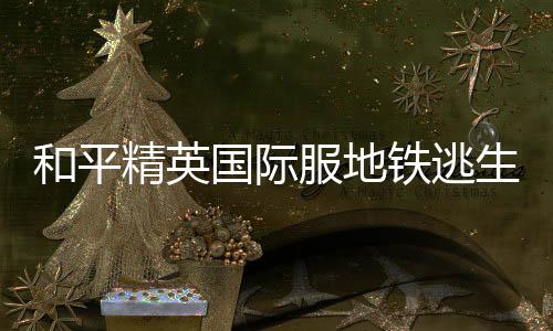 和平精英国际服地铁逃生版本