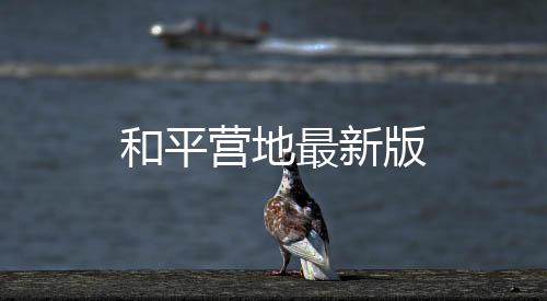 和平营地最新版
