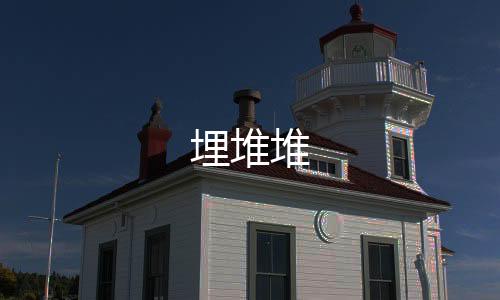 埋堆堆