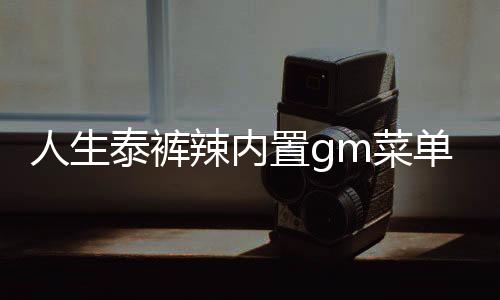 人生泰裤辣内置gm菜单免广告版