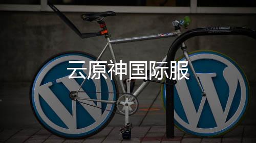 云原神国际服
