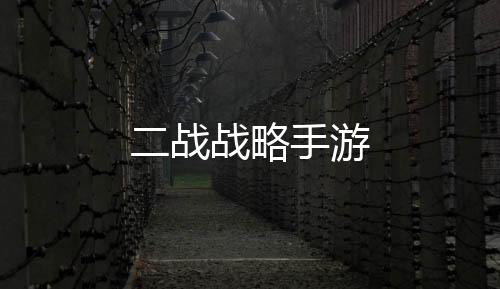 二战战略手游