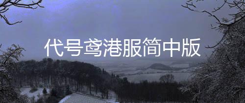 代号鸢港服简中版