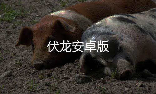 伏龙安卓版