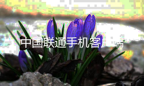 中国联通手机客户端