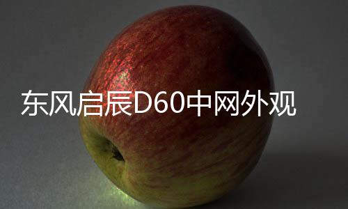 东风启辰D60中网外观改装配件D60 plus ev前脸铲保险杠专用装饰条