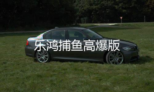 乐鸿捕鱼高爆版