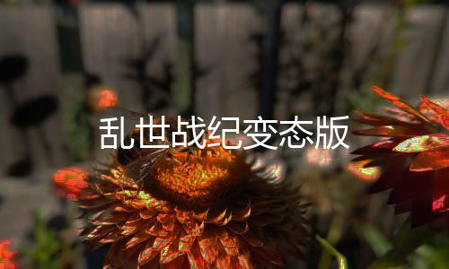 乱世战纪变态版