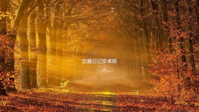 恋爱日记安卓版