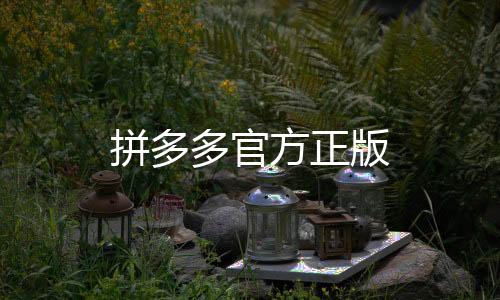 拼多多官方正版