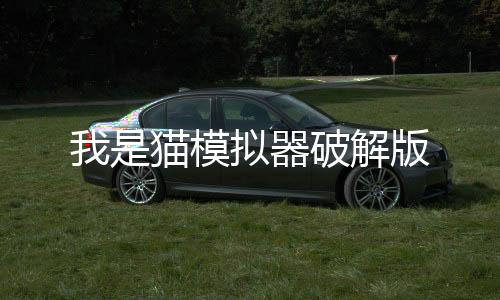 我是猫模拟器破解版