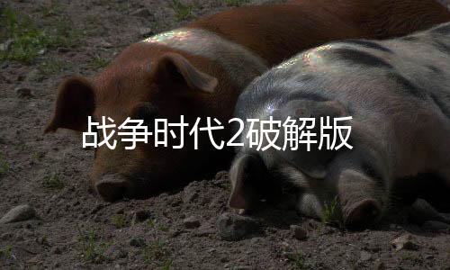 战争时代2破解版