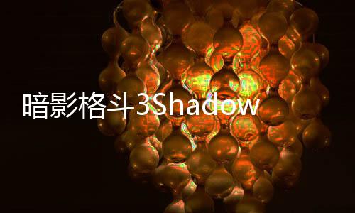 暗影格斗3Shadow Fight 3更新版