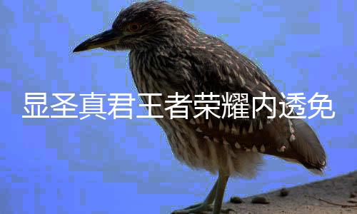 显圣真君王者荣耀内透免费版