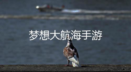 梦想大航海手游