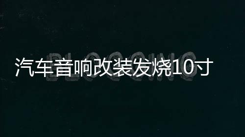 汽车音响改装发烧10寸12寸双音圈重低音纯低音车载无源低音炮喇叭