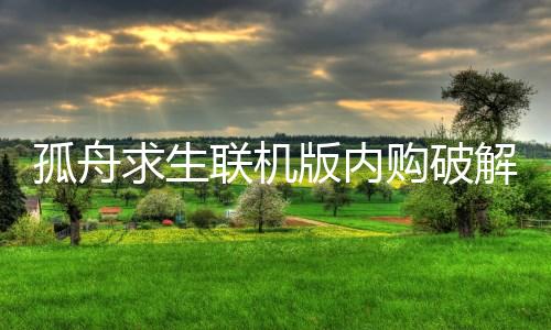 孤舟求生联机版内购破解版