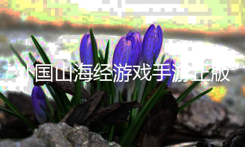外国山海经游戏手游正版