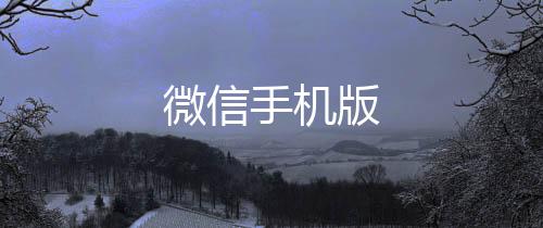 微信手机版