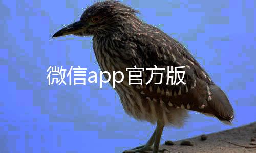 微信app官方版