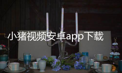 小猪视频安卓app下载 1.1.2