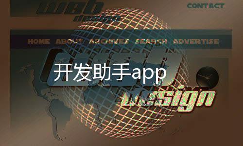 开发助手app