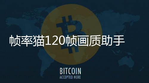 帧率猫120帧画质助手