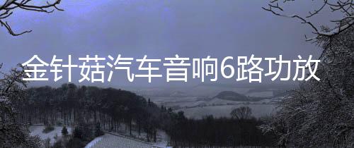 金针菇汽车音响6路功放6声道放大器推3分频中置低音炮发烧级改装