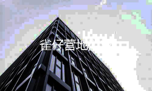 雀仔营地游戏