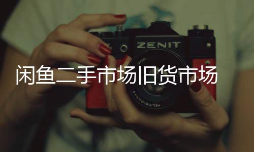 闲鱼二手市场旧货市场 7.15.10