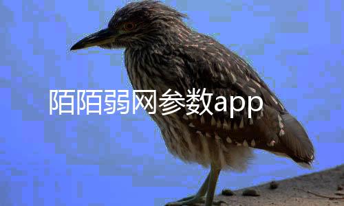 陌陌弱网参数app