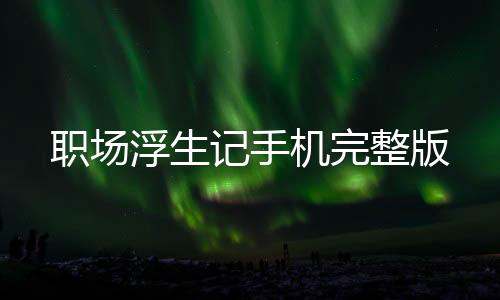 职场浮生记手机完整版